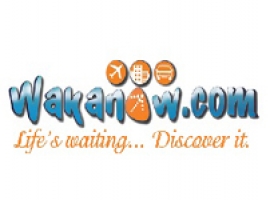 Human Resources Business Partner at Wakanow