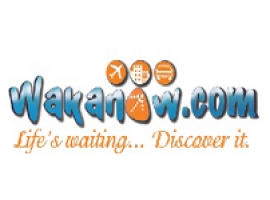 Finance Associate at Wakanow