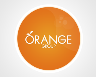Management Trainee at Orange Group