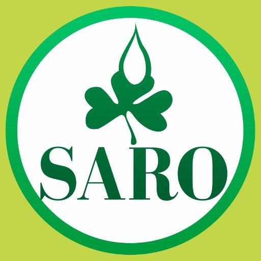 Saroafrica International Graduate Trainee Programme 2024