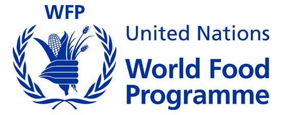 Logistics Assistant G5 at The United Nations World Food Programme (WFP)