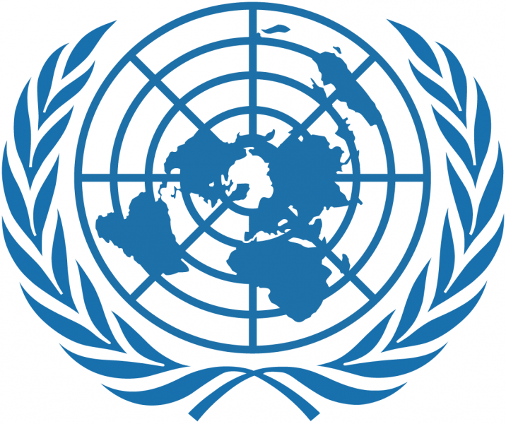 Humanitarian Affairs Officer at the United Nations