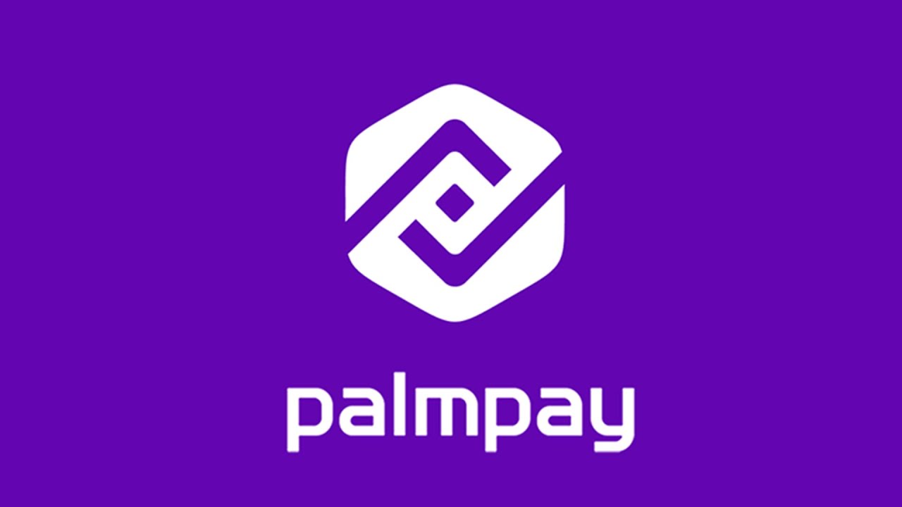 Sales Executive (POS) at PalmPay